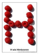 H-wie-Himbeeren.pdf